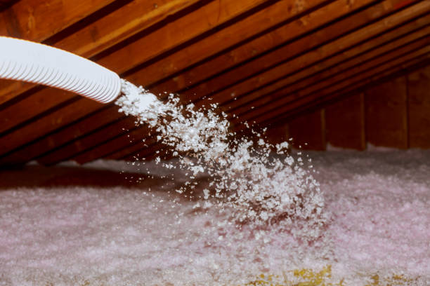 Best DIY Insulation Kits and Guidance in Salida, CO