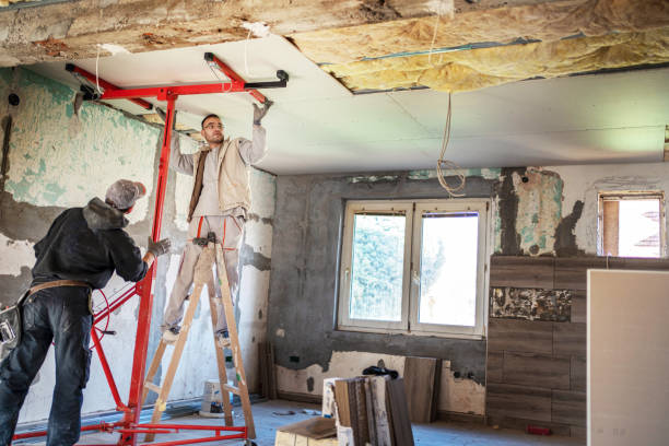 Best Cellulose Insulation in Salida, CO