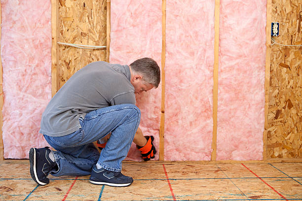 Best Specialized Insulation Services in Salida, CO